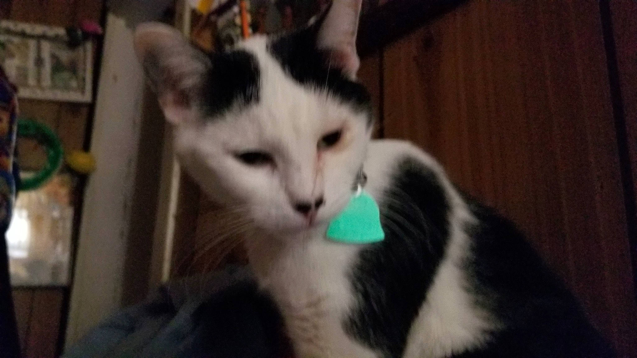 Charlie