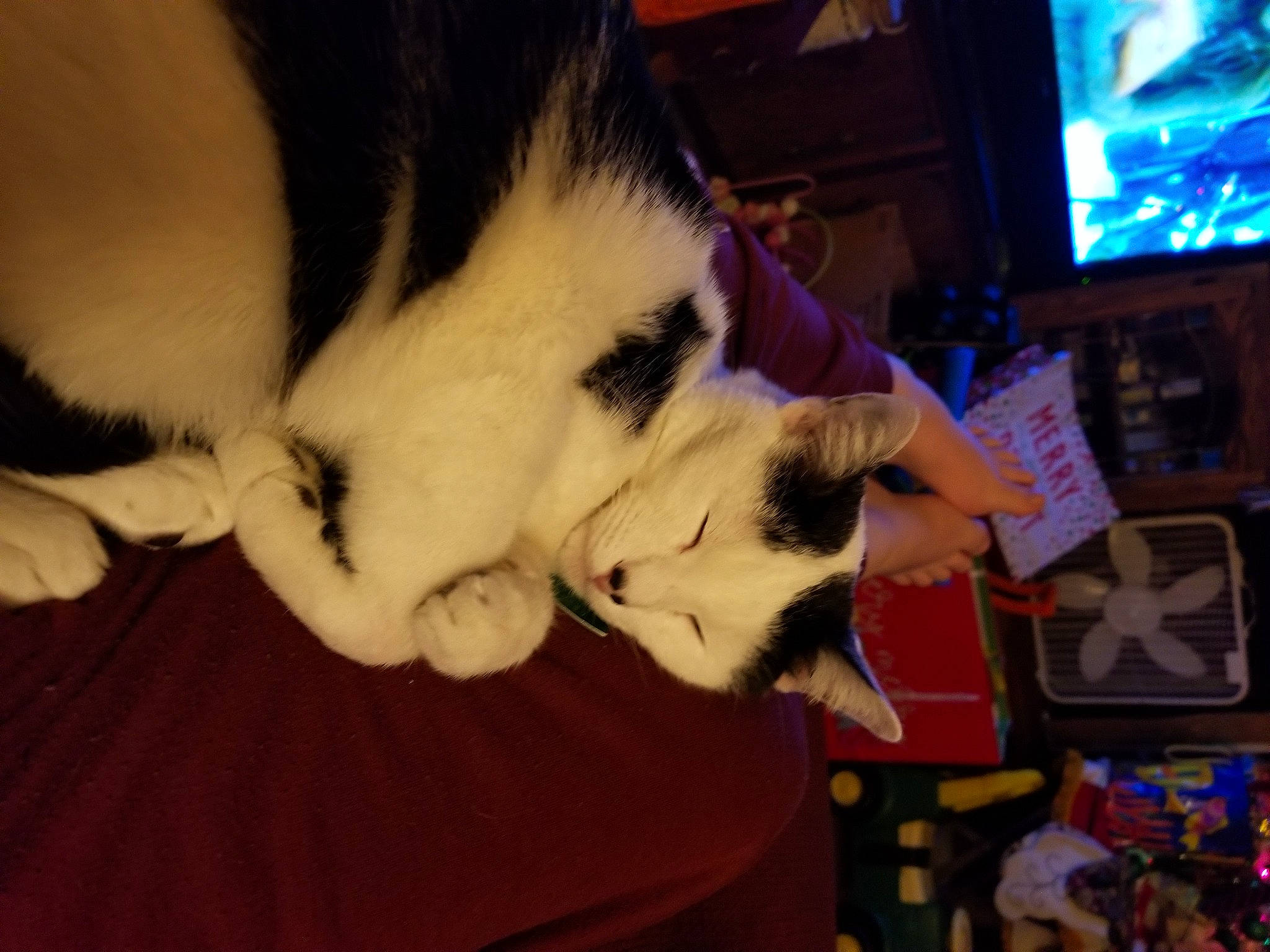 Charlie
