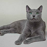 Gemetoues a rejoint le concours — aidez-le/la à gagner de superbes lots !