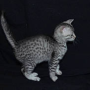 Luxor participe au concours pour gagner de l'argent avec cette photo :