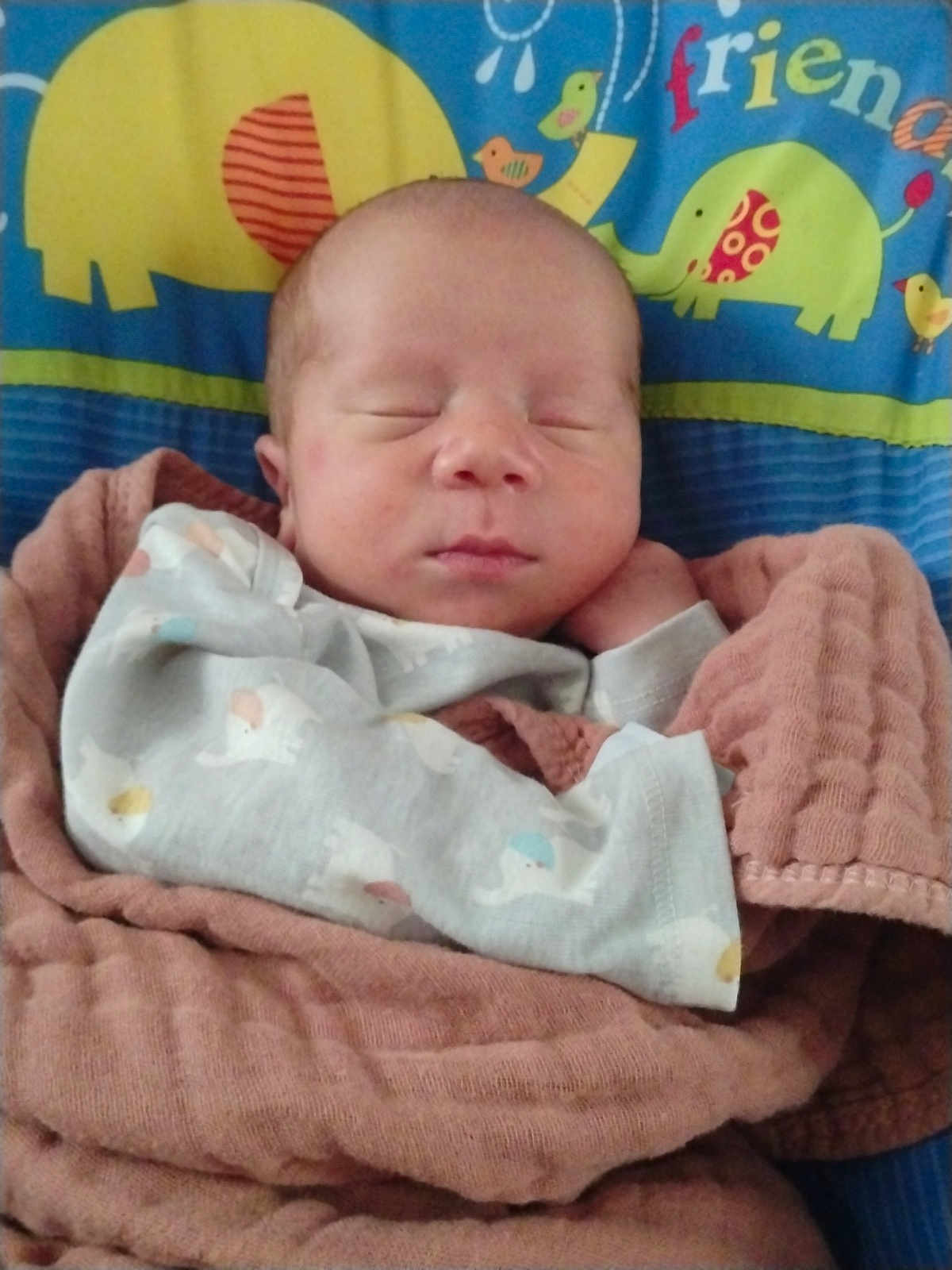 Xavion joined the competition — help win amazing prizes! baby, newborn, sleeping, blanket, clothing, elephant, bird, pattern, soft, cute, child, infant, wrapped, peaceful, resting, colorful, fabric, portrait, indoors, toddler