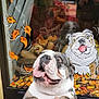 dog, bulldog, pet, tongue_out, happy, window, window_painting, autumn_leaves, reflection, person_reflection, hands, leash, storefront, basket, produce, sidewalk, portrait, cute, street, photography