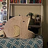 cat, cat_bed, plush, fish_shaped, black_cat, blanket, indoor, bookshelf, books, plants, potted_plants, mirror, stickers, bedroom, home_decor, furniture, cozy, resting, pet, animal