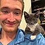 animal, blue_shirt, bookshelf, cat, comfortable, cute, face, furniture, gray_cat, indoor, kitten, man, person, pet, portrait, shelf, shirt, smile, white_paw, young_adult