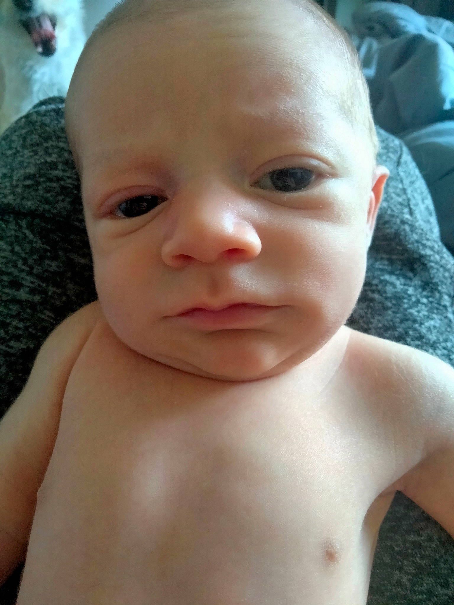 David joined the competition — help win amazing prizes! baby, cheek, chin, ear, eye, eyebrow, eyelash, finger, forehead, hair, head, human_body, iris, lip, mouth, muscle, neck, nose, person, skin