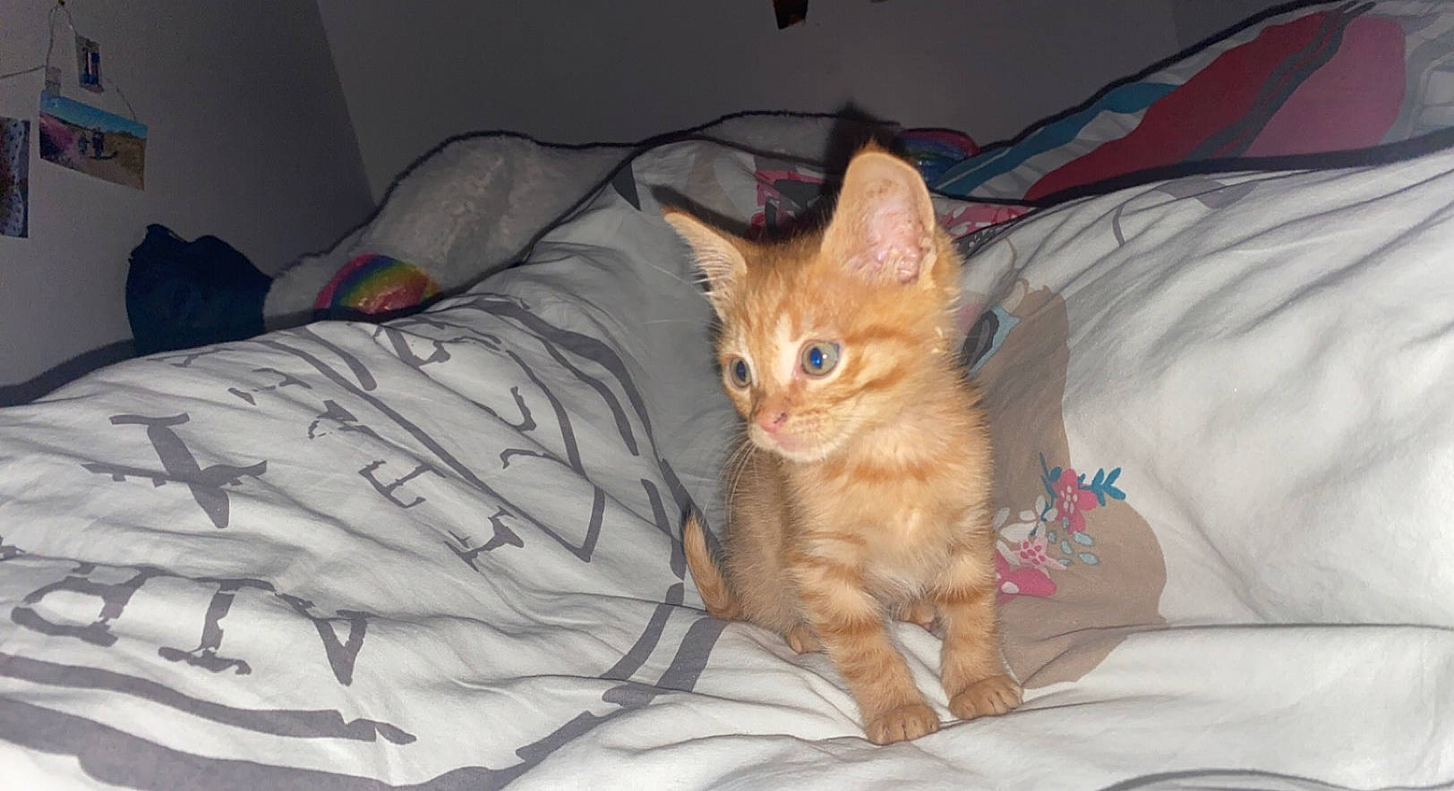 Tigrou