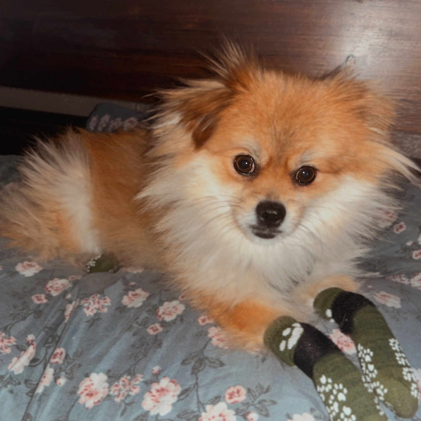 Max
