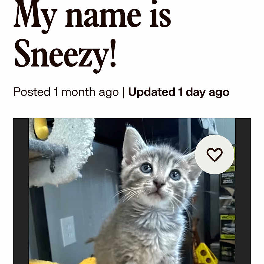 Sneezy