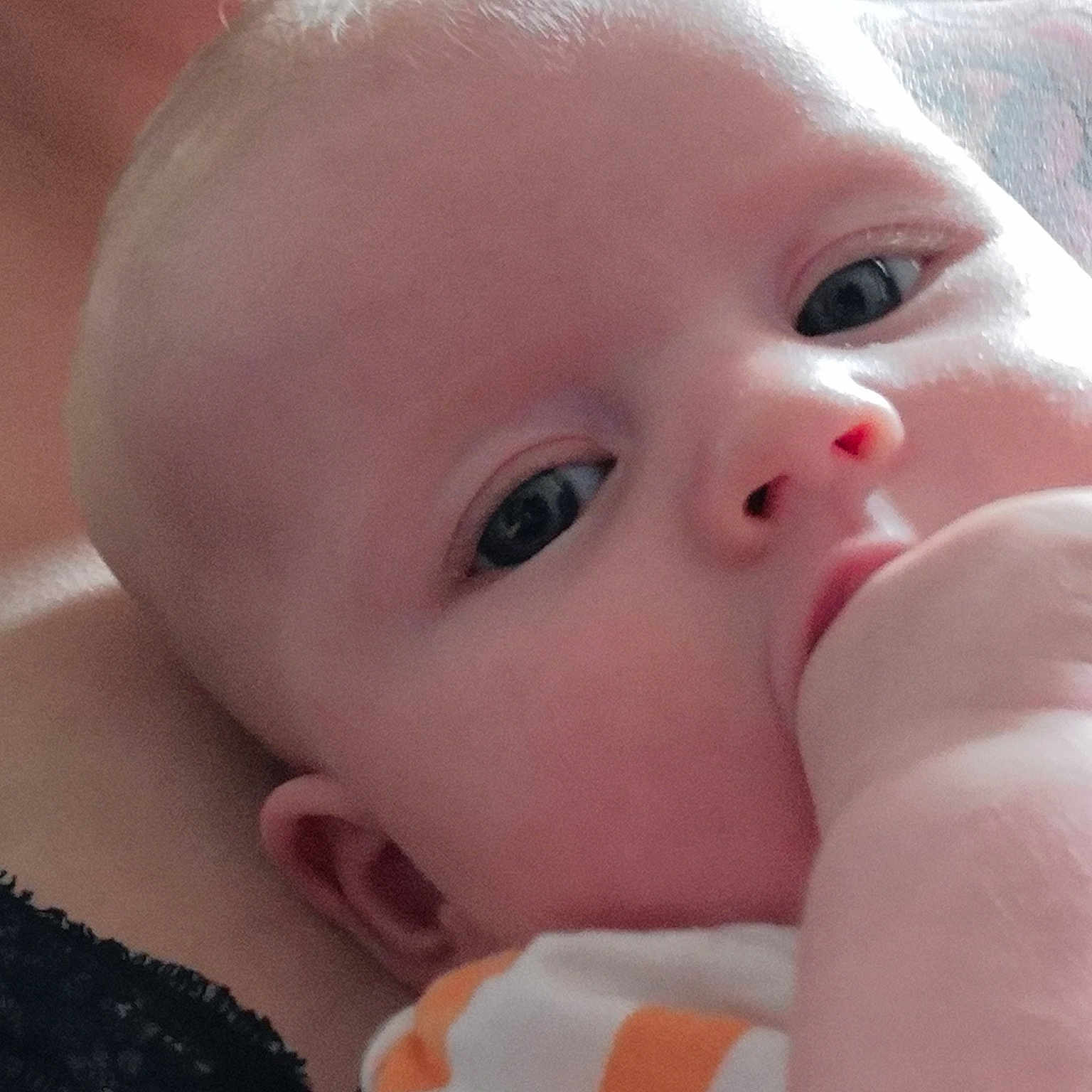 Léonie a rejoint le concours — aidez-le/la à gagner de superbes lots ! baby, beauty, cheek, child, close_up, eye, eyebrow, face, head, iris, lip, mouth, nose, pink, skin, toddler