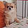 Hatchi