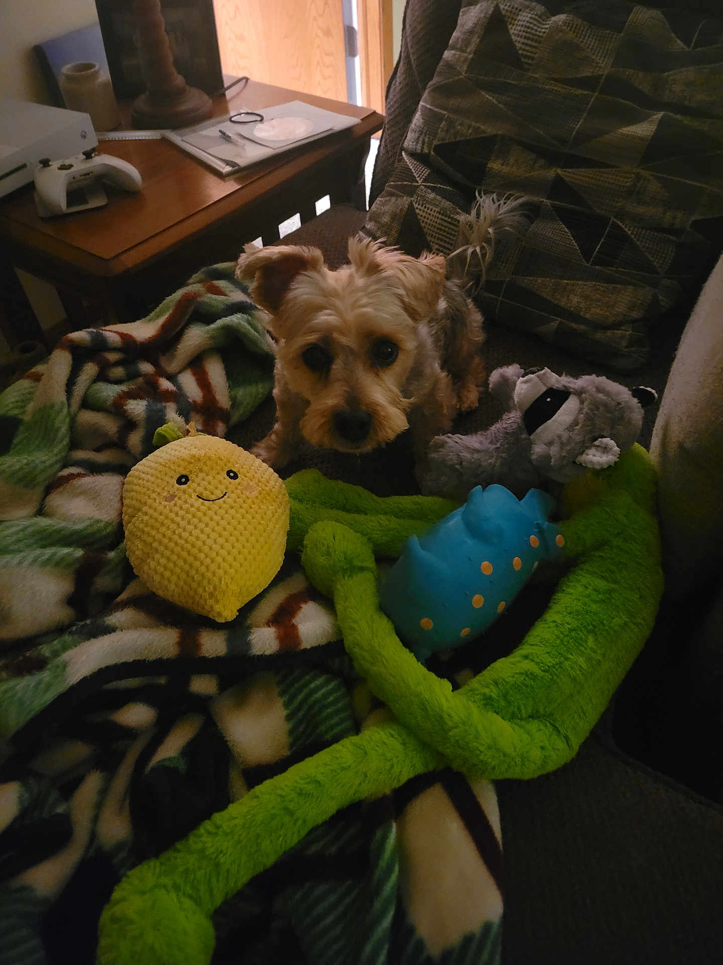 Toby