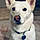 Miss Gracie