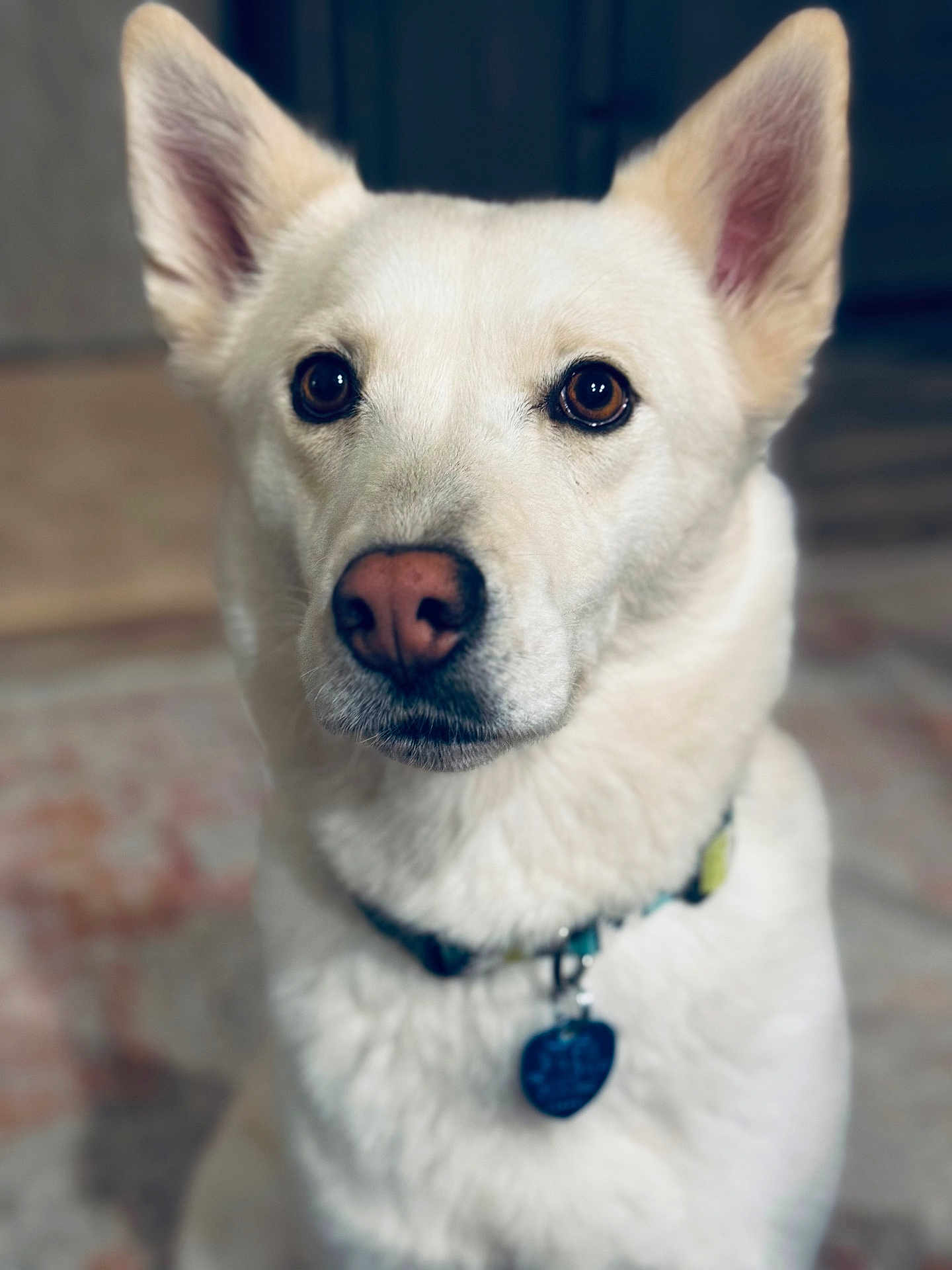 Miss Gracie