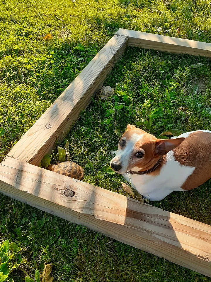 Sammy