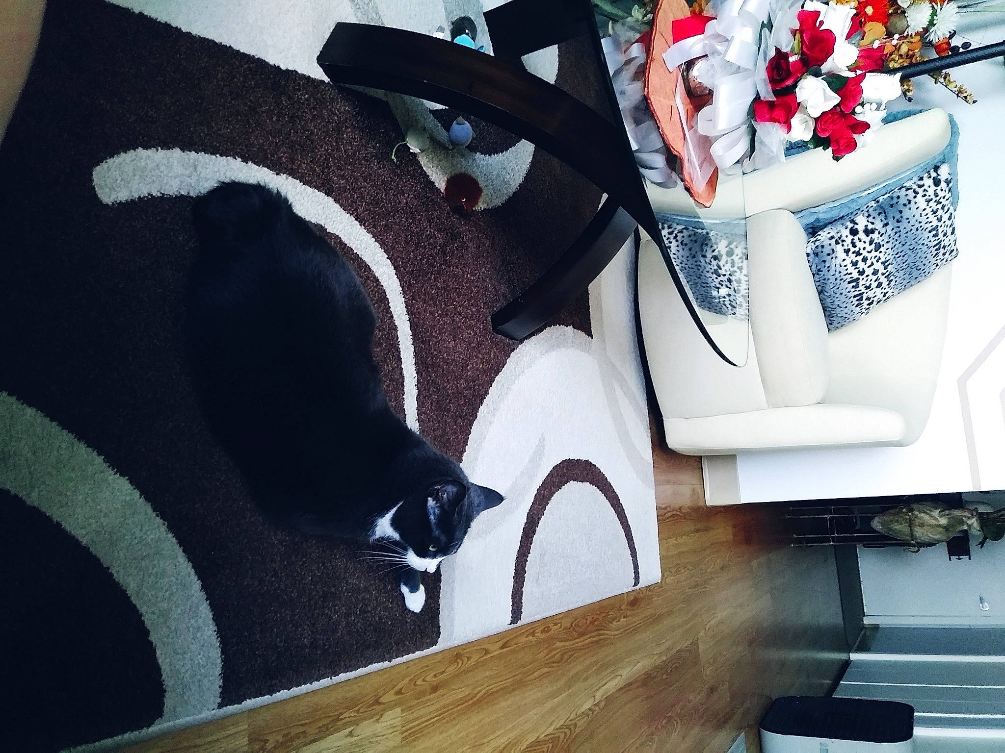 Diane Peloquin is registered to the contest to win money with this photo: automotive_design, bag, carmine, comfort, event, fashion_accessory, flower, font, hardwood, interior_design, jewellery, linens, pattern, petal, rectangle, room, stairs, table, textile, wood