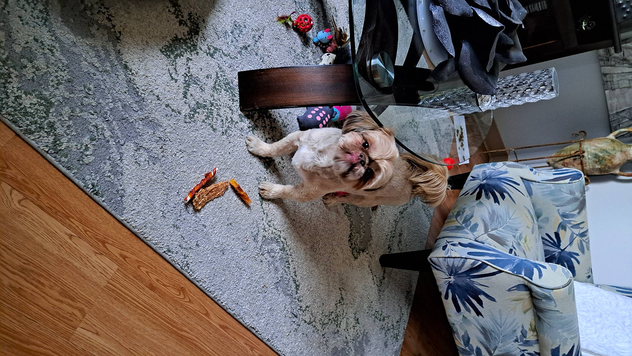 Guismo participe au concours pour gagner de l'argent avec cette photo : art, concrete, felidae, flooring, fun, fur, hardwood, human_leg, room, sitting, small_to_medium_sized_cats, street, tree, visual_arts, wood, wood_flooring, wood_stain