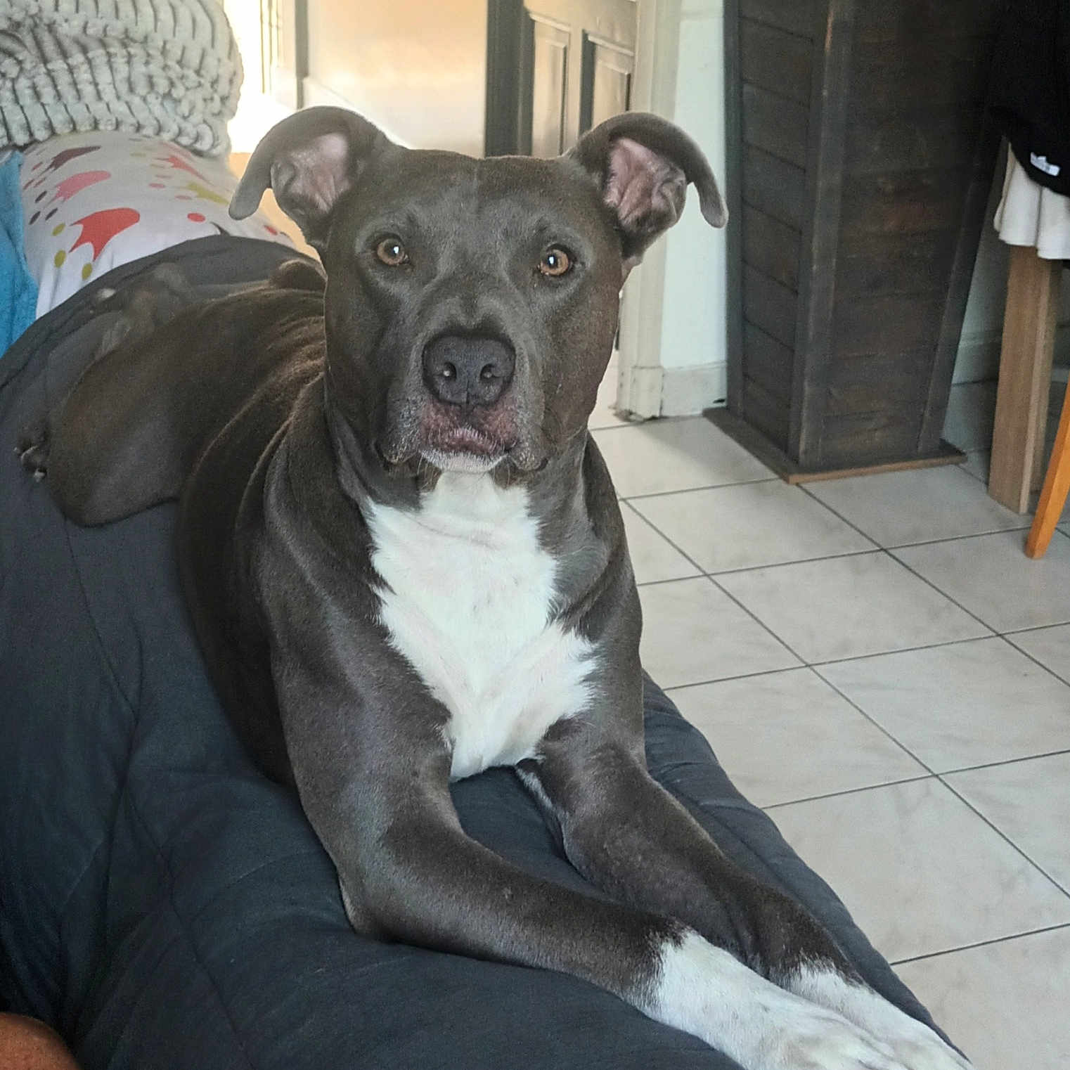 Tyson