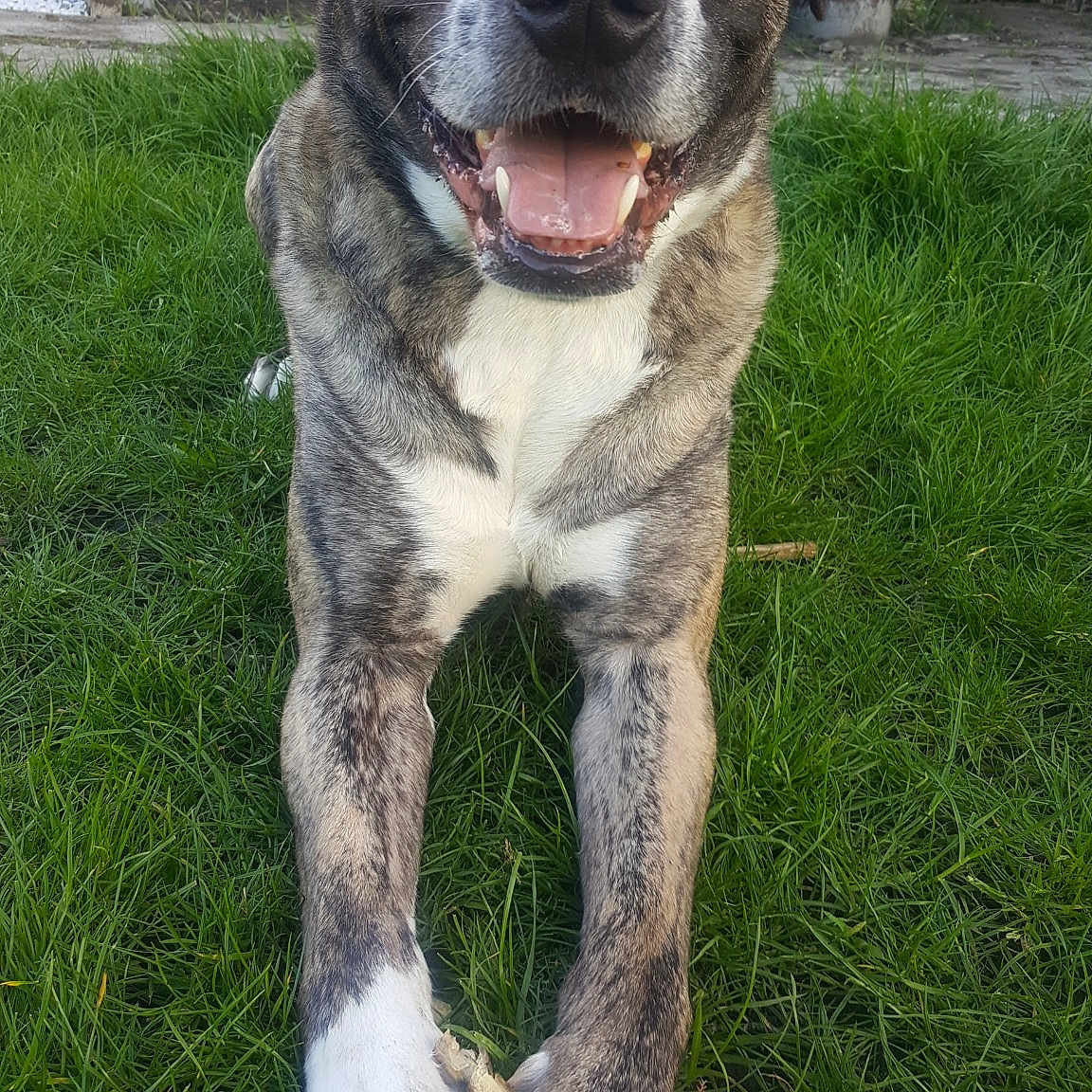 Laiko
