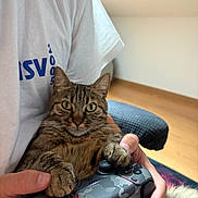 Uno participe au concours pour gagner de l'argent avec cette photo : blue_text, cat, closeup, cushion, cute, feline, game_controller, hand, holding, human, indoor, paw, person, pet, playing, relaxed, tabby_cat, technology, white_shirt, wooden_floor