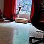 animal, cardboard_box, cat, curiosity, curtains, floor, furniture, glass_door, home, indoor, kitten, metal_chair, office_chair, patio, pet, shadow, stretching, sunlight, tiled_floor, window