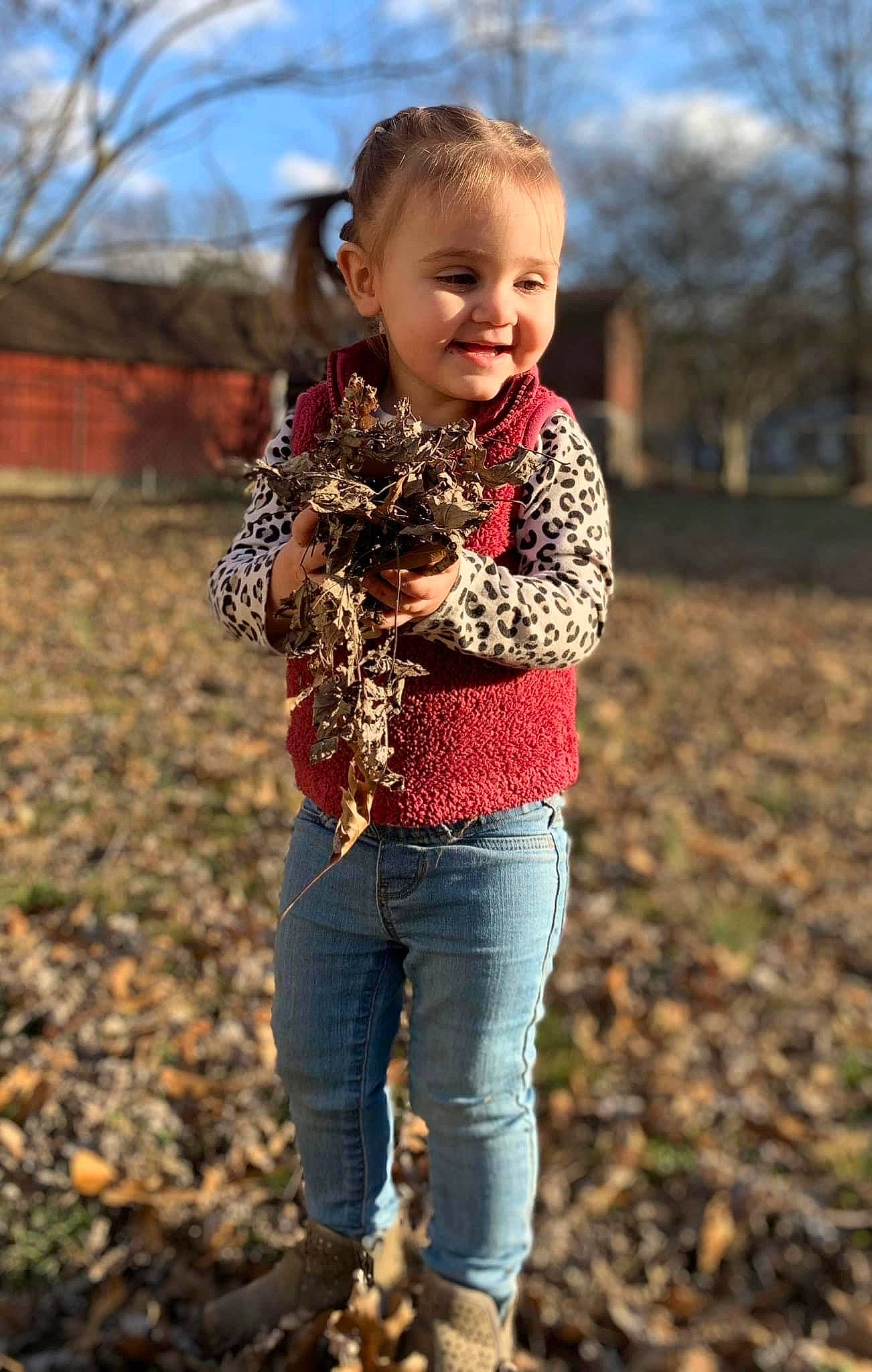 Annalise is registered to the contest to win money with this photo: baby_toddler_clothing, clothing, eye, face, grass, hair, happy, head, jeans, joy, people_in_nature, person, plant, shoe, sky, sleeve, smile, toddler, tree, trousers