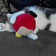 Skittles joined the competition — help win amazing prizes! cat, gray_cat, white_cat, plush_toy, red_toy, angry_birds_toy, couch, indoor, pet, animal, claw, lying_down, wide_eyes, fur, cute, domestic_cat, toy, soft_toy, resting, curious