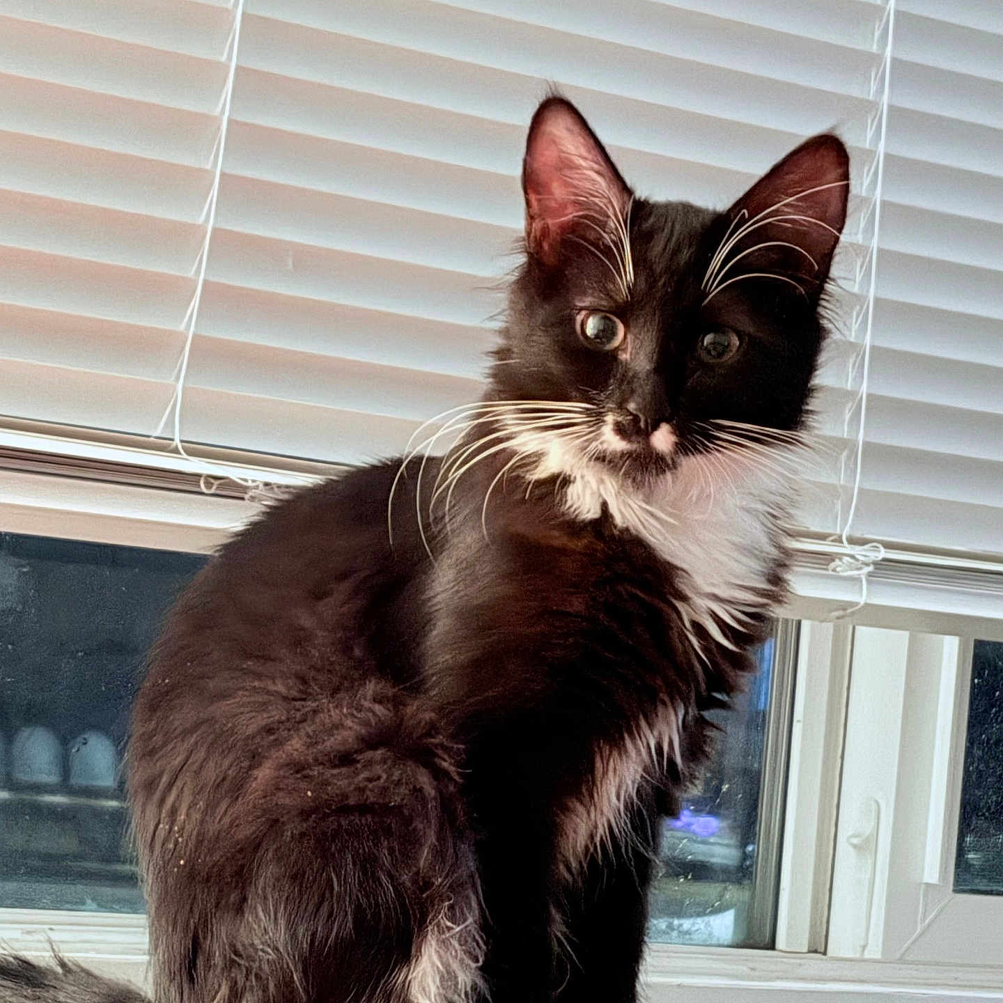 Lucy