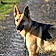 Roxie