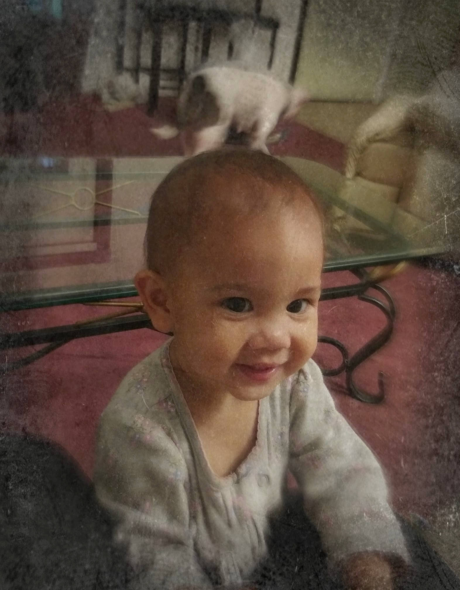 Mckayla is registered to the contest to win money with this photo: baby, cheek, child, ear, face, forehead, head, joy, nose, person, skin, smile, toddler