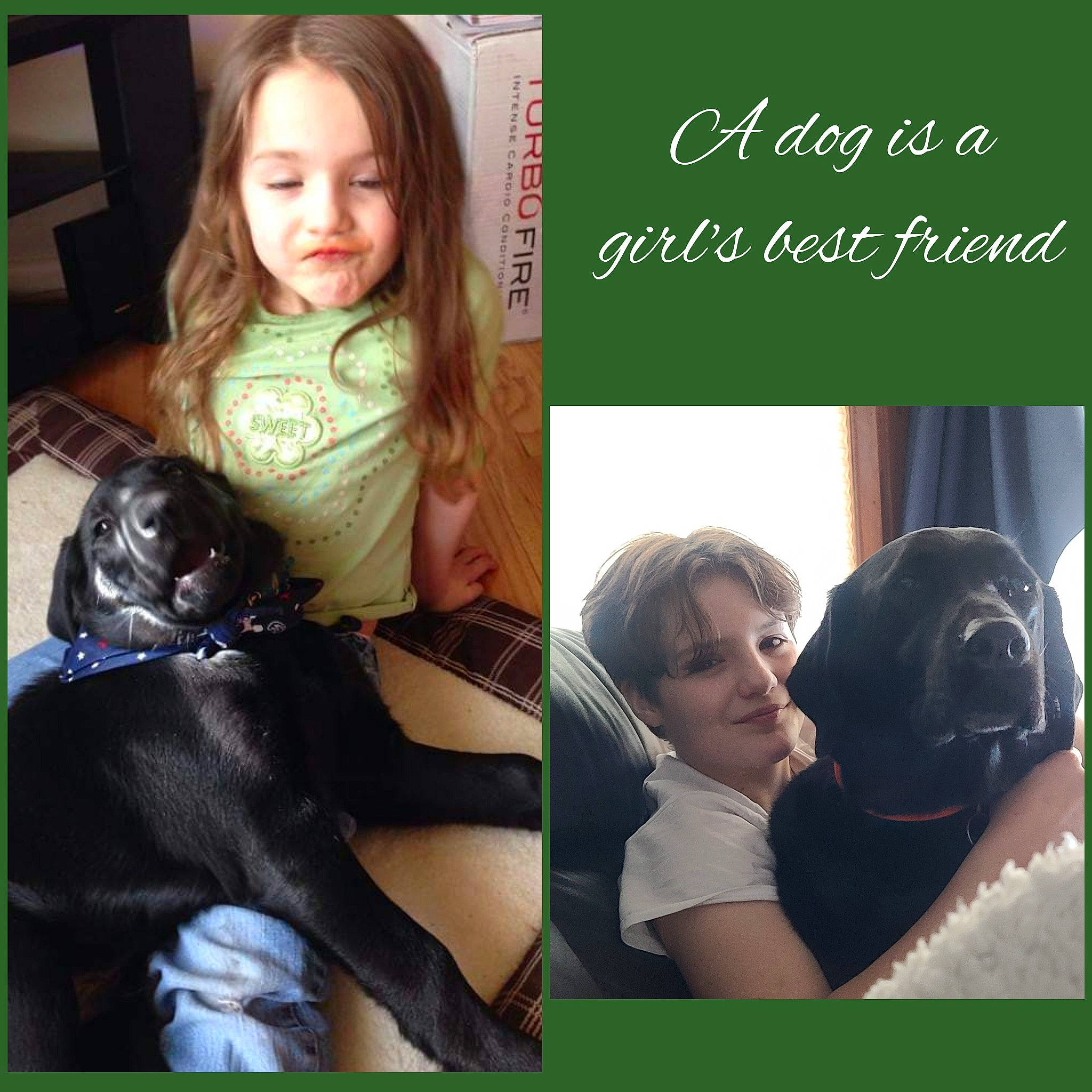 Boo-boo Bear joined the competition — help win amazing prizes! art, carnivore, child, companion_dog, dog, facial_expression, fawn, font, gesture, green, hairstyle, happy, head, long_hair, mammal, photo_caption, photograph, product, snapshot, vertebrate