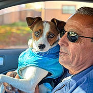 Chon is registered to the contest to win money with this photo: adult, animal, blue_jacket, brown_and_white_dog, car_interior, casual_clothing, close_up, companionship, dog, holding, human, indoors, man, pet, portrait, seat, sunglasses, sunlight, warm_clothing, window