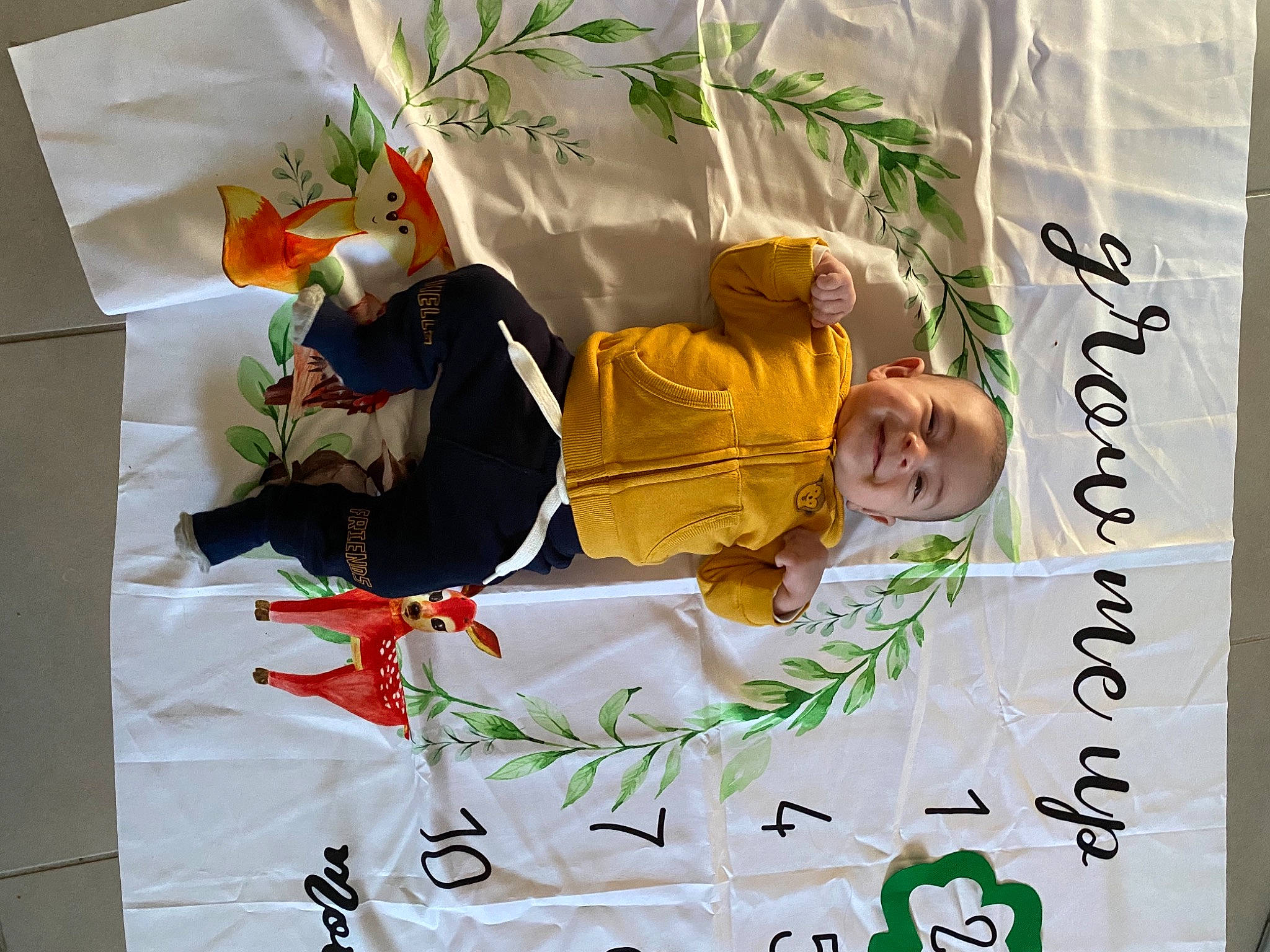 Ilyan participe au concours pour gagner de l'argent avec cette photo : adaptation, advertising, art, child, comfort, event, flowerpot, font, happy, houseplant, joy, linens, organism, person, plant, rectangle, room, smile, t_shirt, tree