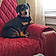 Winston