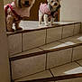 dog, small_dog, indoor, stairs, tile_floor, pink_jacket, pet_clothing, curious, standing, two_dogs, brown_dog, white_dog, domestic_animal, canine, household, alert, companion, cute, fur, animal