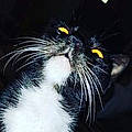 Gladys S.