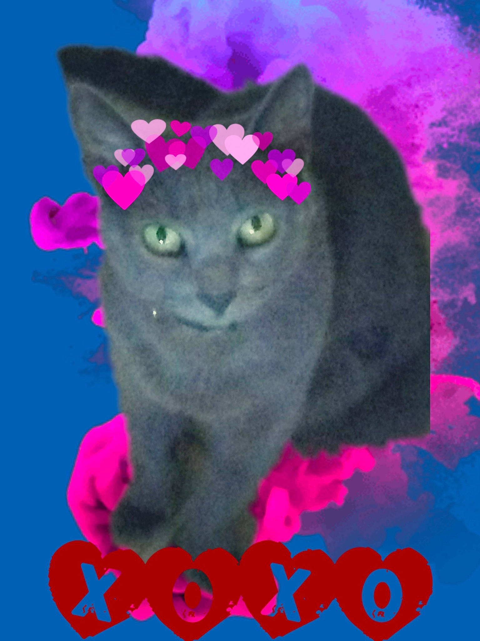 Jersey is registered to the contest to win money with this photo: art, carnivore, cat, costume_hat, fashion_accessory, felidae, font, fur, hat, head, illustration, magenta, painting, pink, purple, red, small_to_medium_sized_cats, snout, violet, whiskers