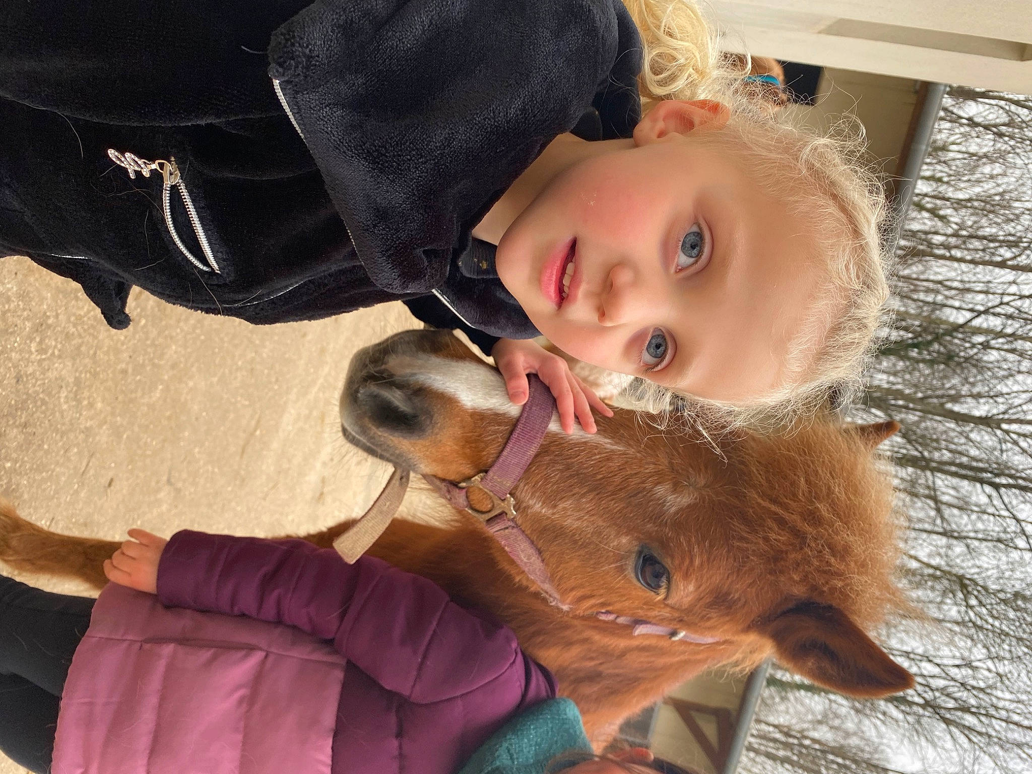 Jtúlina participe au concours pour gagner de l'argent avec cette photo : baby, blond, brown_hair, cheek, child, eyelash, fawn, fun, fur, happy, iris, leisure, mouth, nose, outerwear, person, sitting, skin, smile, toddler