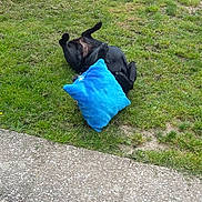 Caline a rejoint le concours — aidez-le/la à gagner de superbes lots !