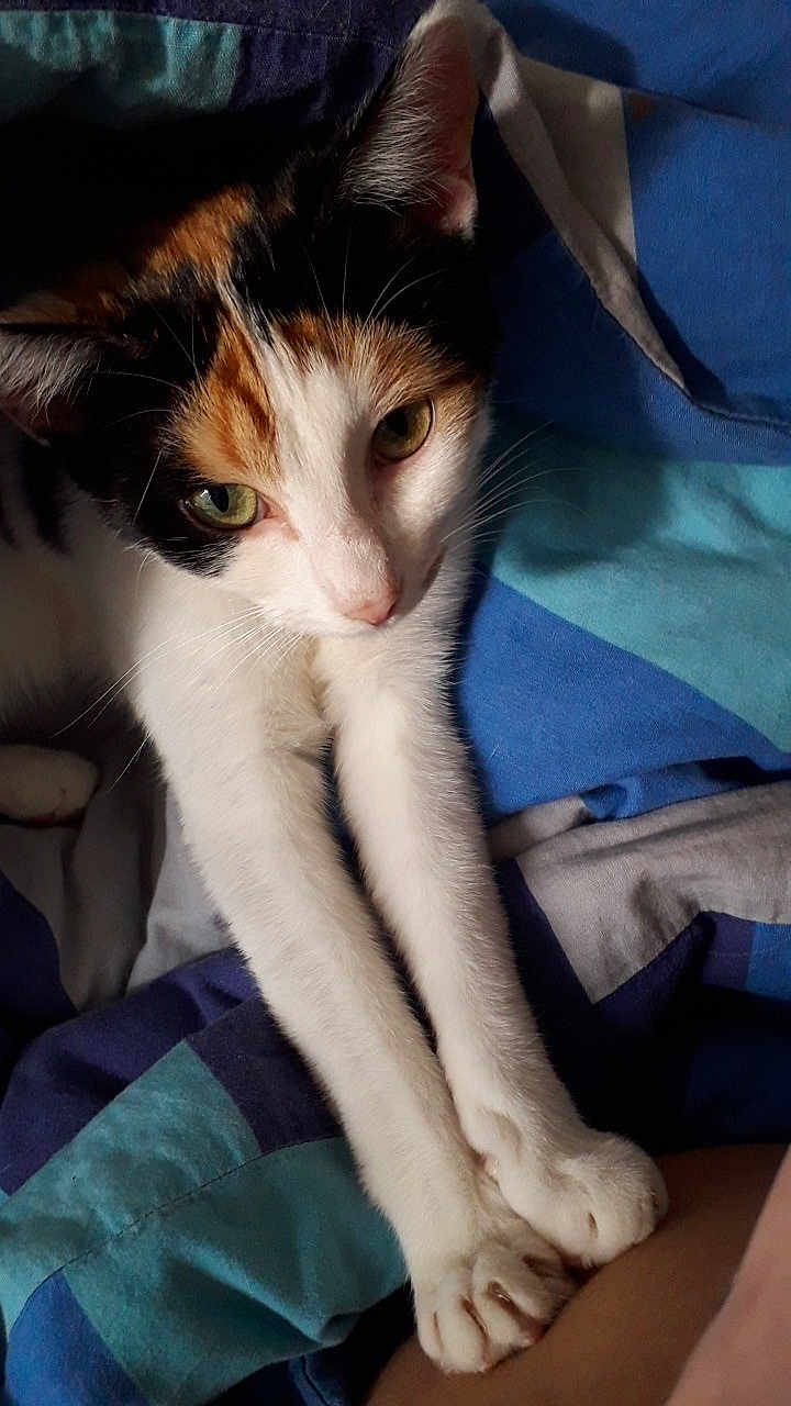 Olga
