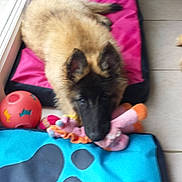 Luna a rejoint le concours — aidez-le/la à gagner de superbes lots !