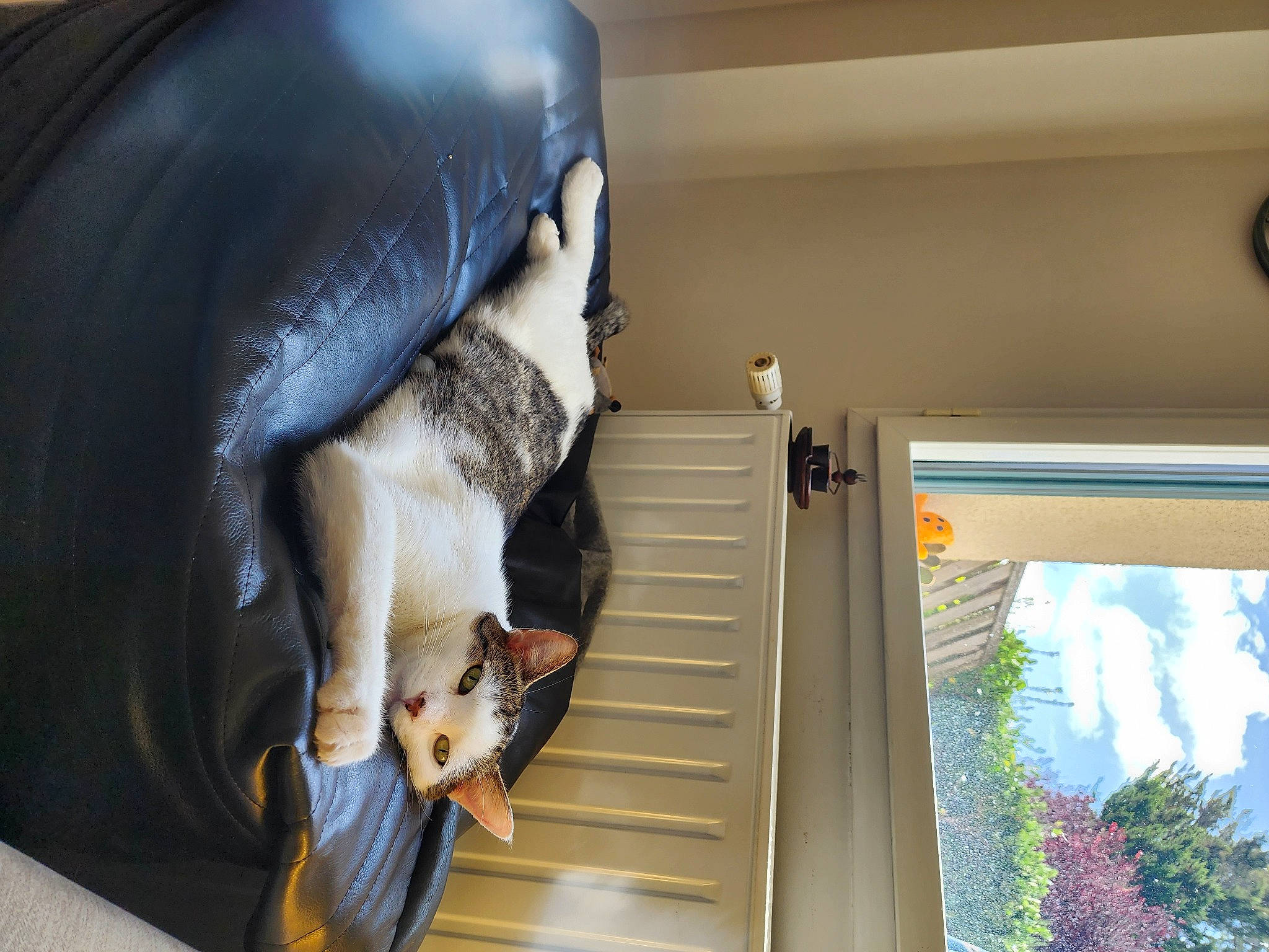 Sandwich a rejoint le concours — aidez-le/la à gagner de superbes lots ! carnivore, ceiling, comfort, companion_dog, fawn, fun, fur, gesture, human_leg, leisure, plant, room, sculpture, sporting_group, stairs, statue, tail, textile, tree, working_animal