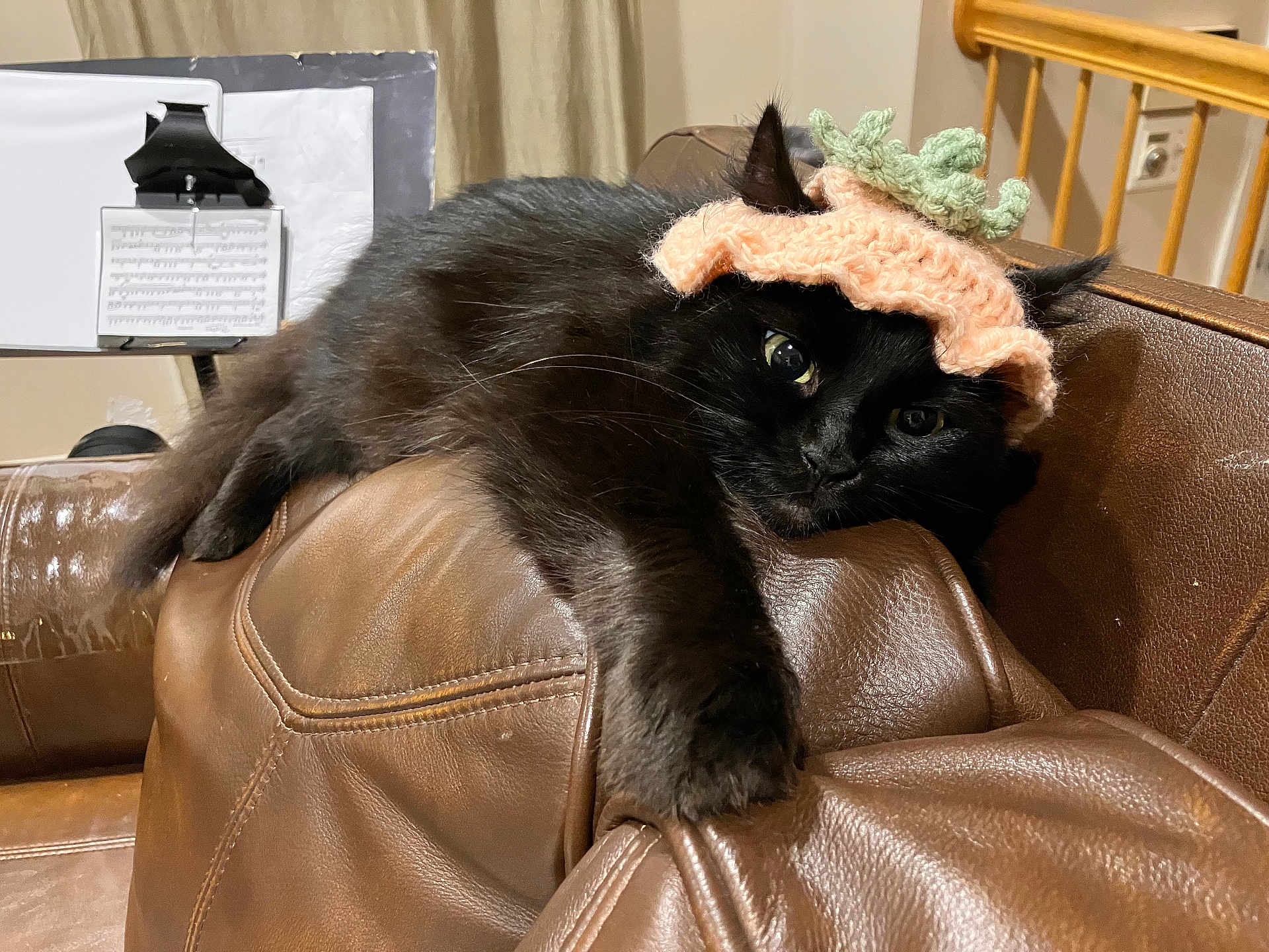 Panther