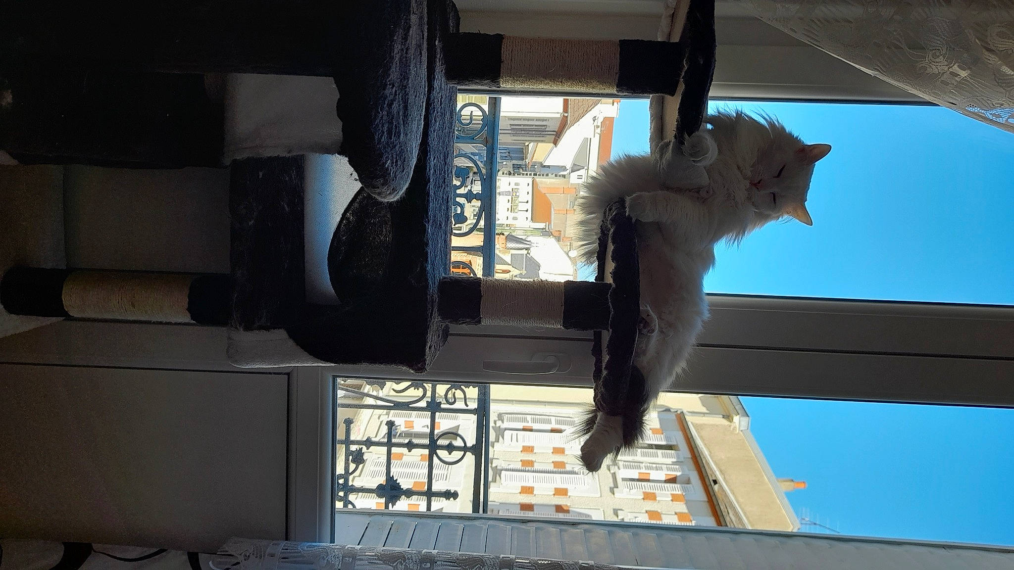 Glouton a rejoint le concours — aidez-le/la à gagner de superbes lots ! art, automotive_exterior, building, daylighting, fur, machine, metal, monument, room, sculpture, shadow, sky, statue, tree, visual_arts, window, wing