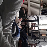 Shamalow participe au concours pour gagner de l'argent avec cette photo : chair, comfort, event, flooring, flowerpot, formal_wear, houseplant, human_leg, room, sitting, table, white_collar_worker, window_blind, window_covering, wood