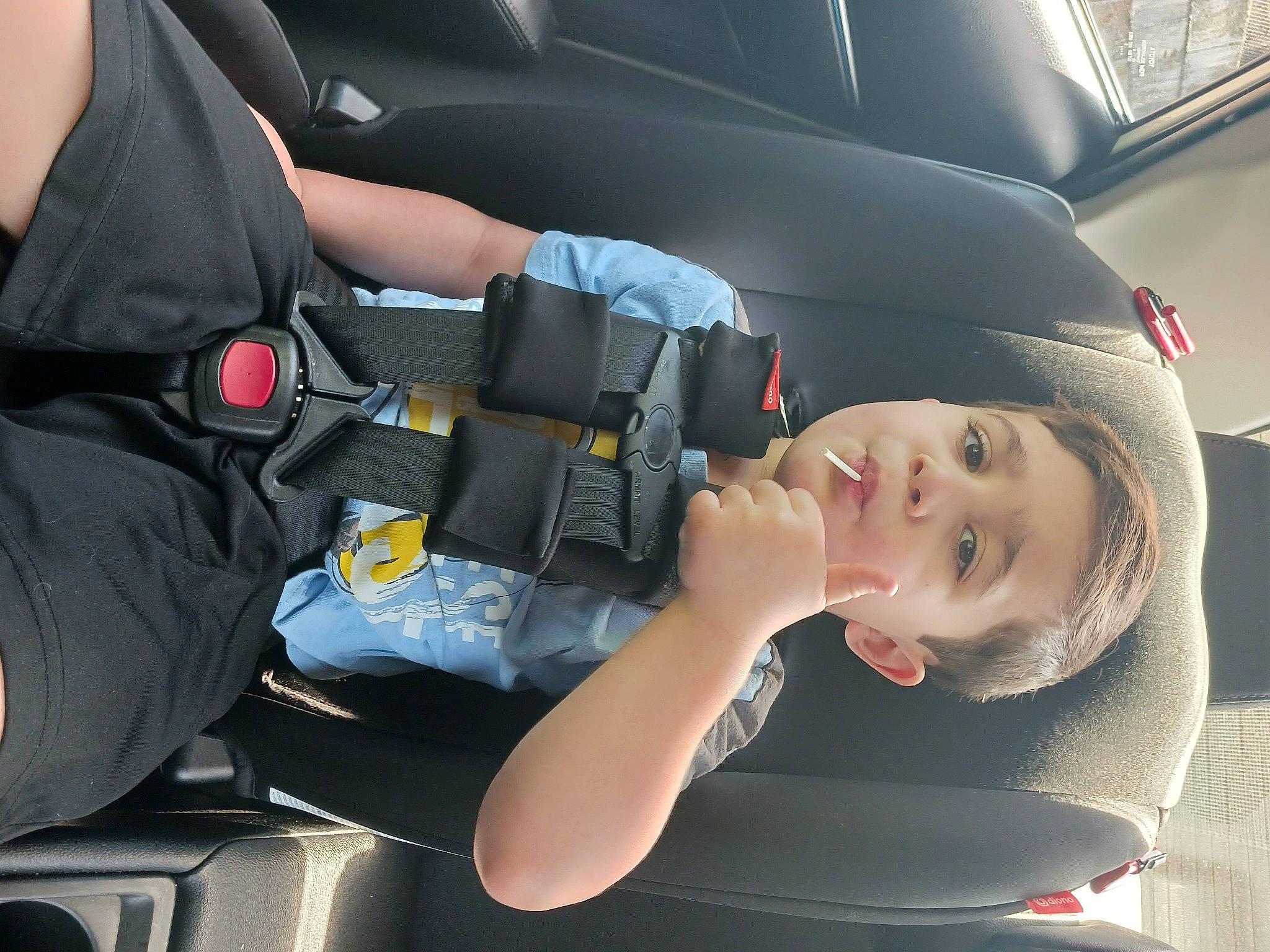 Leonardo is registered to the contest to win money with this photo: auto_part, automotive_design, automotive_exterior, automotive_wheel_system, car, car_seat, car_seat_cover, comfort, family_car, head_restraint, luxury_vehicle, motor_vehicle, person, personal_luxury_car, product, seat_belt, steering_part, steering_wheel, vehicle, vehicle_door