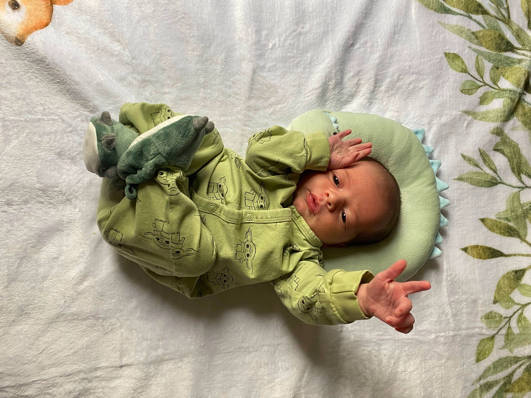 Asher is registered to the contest to win money with this photo: art, baby, baby_products, baby_toddler_clothing, child, comfort, face, grass, happy, head, linens, mammal, military_camouflage, person, plant, room, skin, textile, toddler, tree