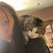 Purr-Dee Boy joined the competition — help win amazing prizes! animal, black_clothing, cat, ceiling, close_up, companion, cozy, cute, domestic, furniture, home_interior, indoor, light, long_hair, person, pet, portrait, relaxed, shoulder, tabby_cat