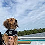 adventure, boat, calm, clouds, dog, fingers, hand, harness, nature, outdoor, person, pet, ring, river, scenic, sky, small_dog, travel, trees, water