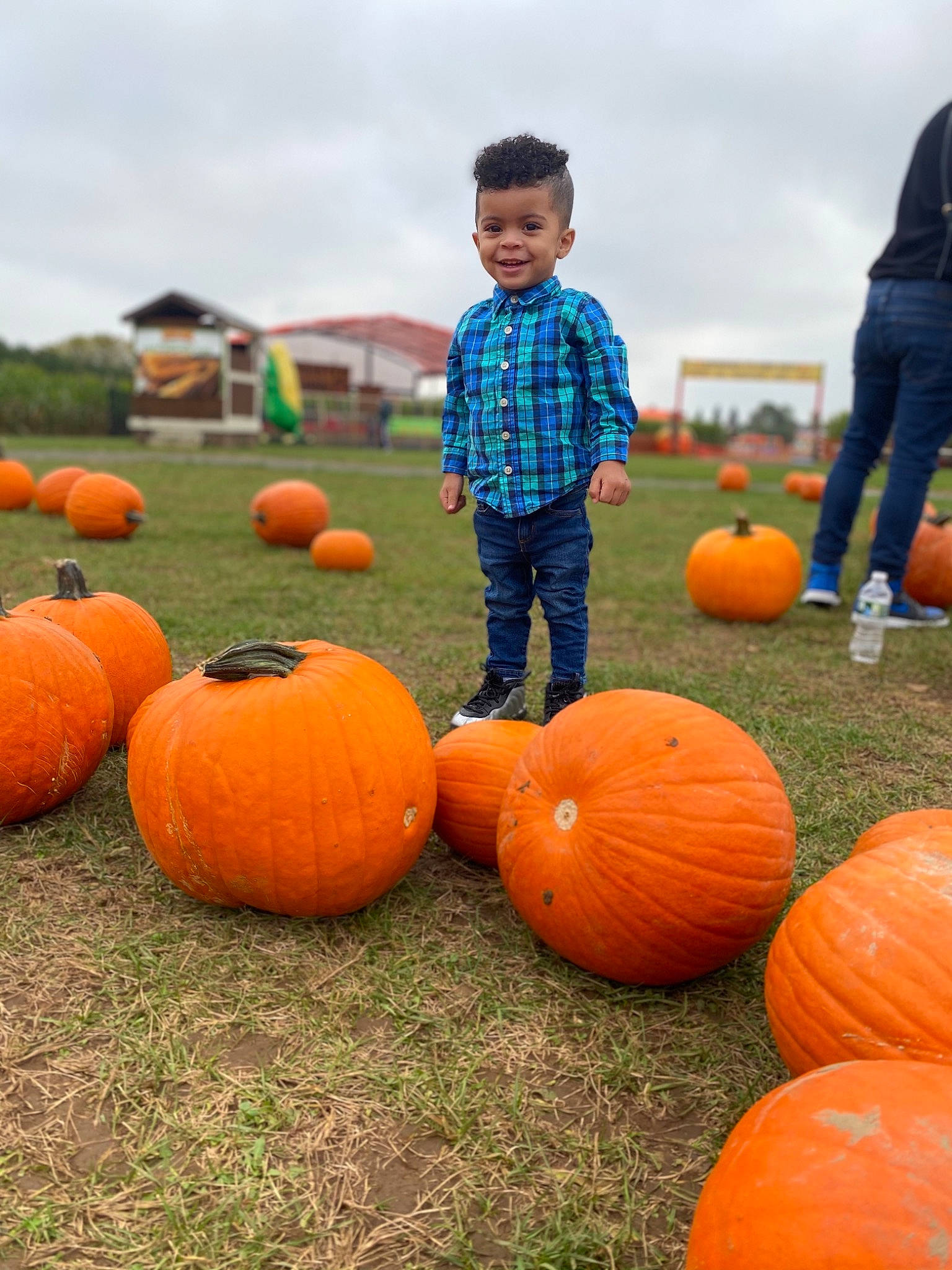 Darwin joined the competition — help win amazing prizes! _and_melon_family, _gourd, calabaza, child, cucumber, cucurbita, food, fruit, fun, gourd, grass, joy, local_food, orange, person, plant, play, produce, pumpkin, squash