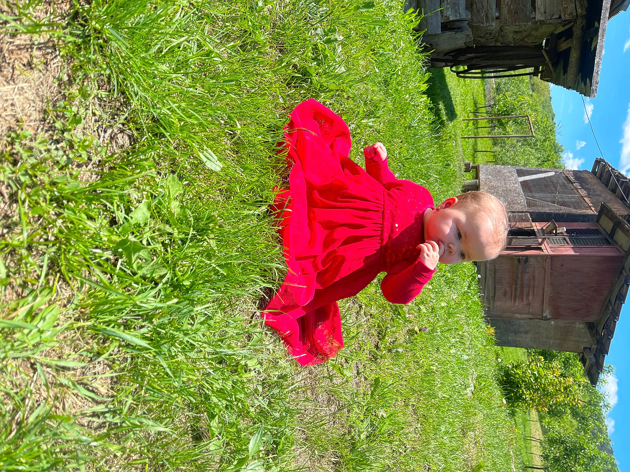 Elena participe au concours pour gagner de l'argent avec cette photo : building, child, fun, garden, grass, grassland, groundcover, happy, house, landscape, leisure, magenta, people_in_nature, person, plant, shrub, sky, toddler, tree, vegetation